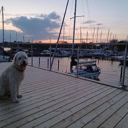 Hausboot Gluecksmomente Mit Dachterrasse In Schleswig Am Ostseefjord Schlei Esterno foto