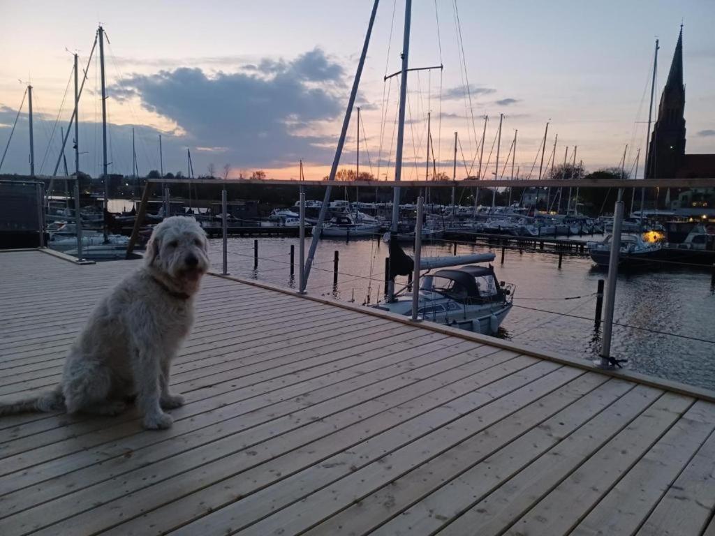 Hausboot Gluecksmomente Mit Dachterrasse In Schleswig Am Ostseefjord Schlei Esterno foto
